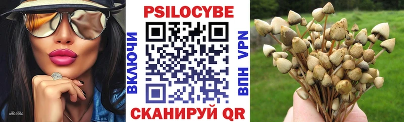 Псилоцибиновые грибы прущие грибы  мега вход  Ленинск-Кузнецкий 